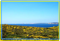 La pointe de Dinan