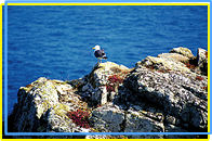 Réserve ornithologique